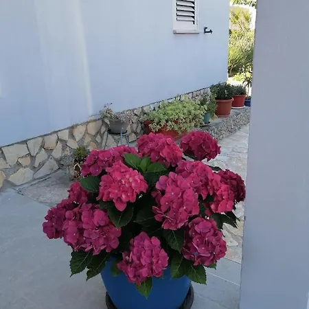 Апартаменты Antonija *